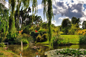 Jardin botanique